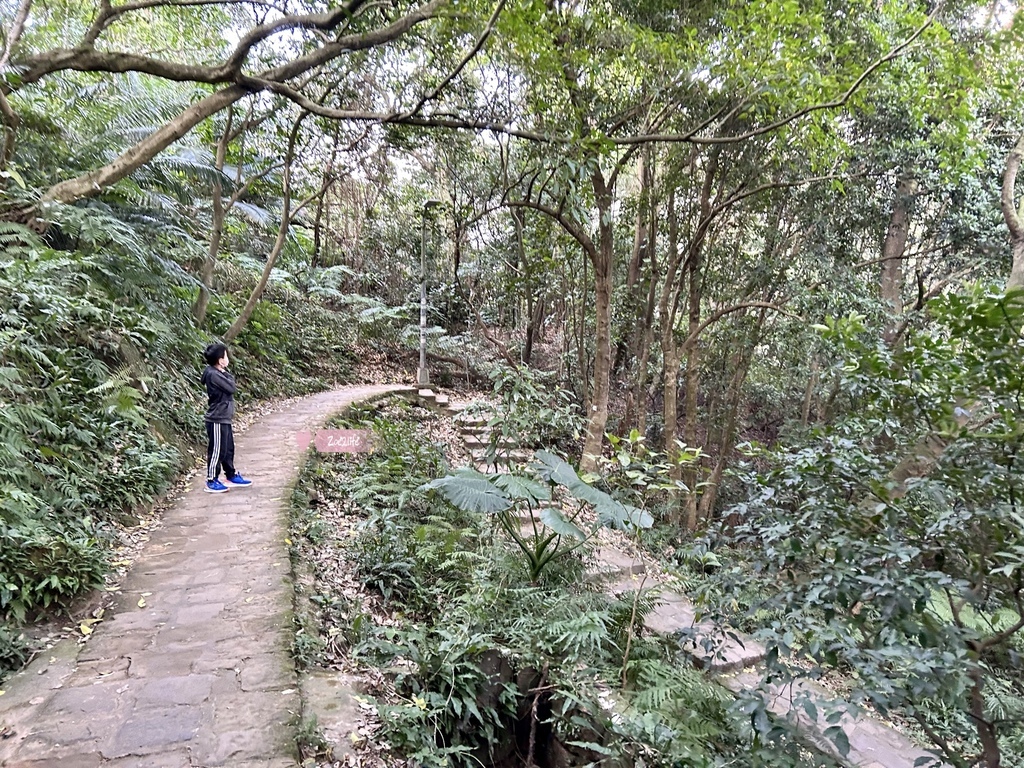 【台北內湖】親子景點| 可輕鬆攻頂翻過山頭的白鷺鷥山親山步道