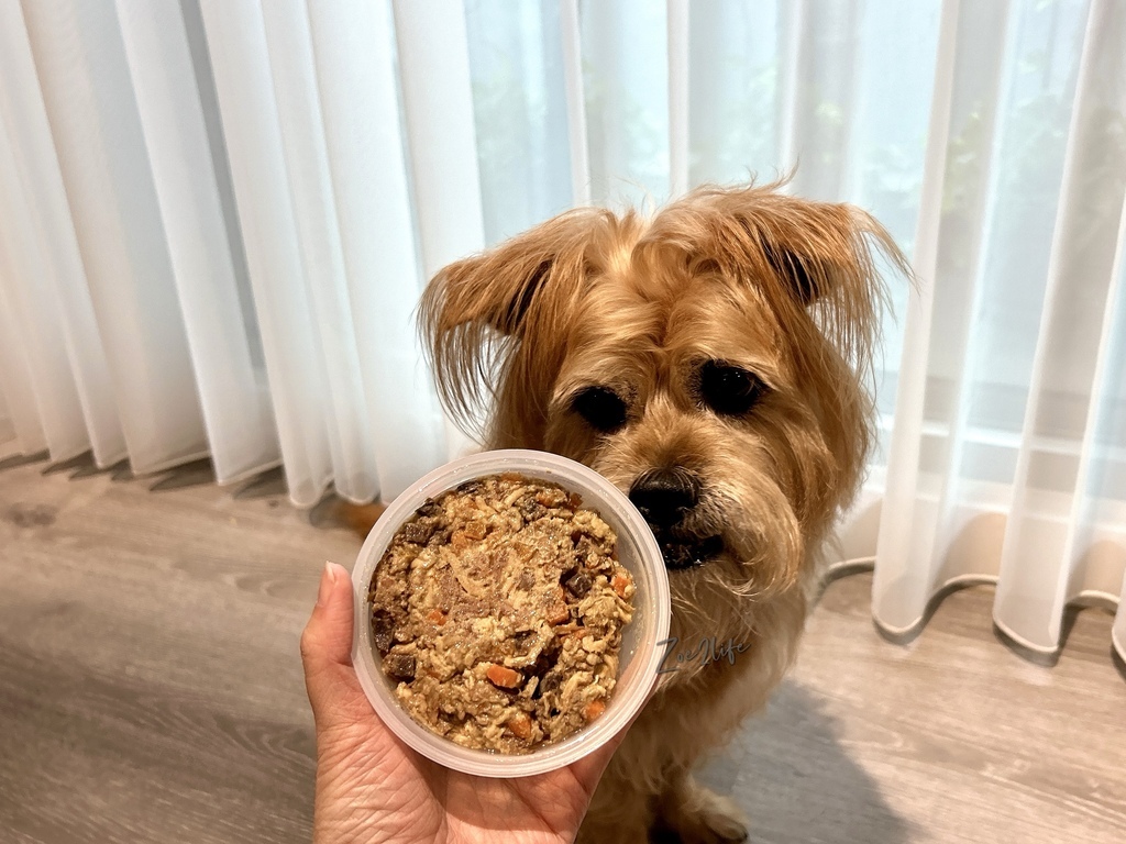 【成犬濕糧推薦】開箱好市多搶先開賣「Cesar西莎鮮肉主 【成犬濕糧推薦】開箱好市多搶先開賣「Cesar西莎鮮肉主