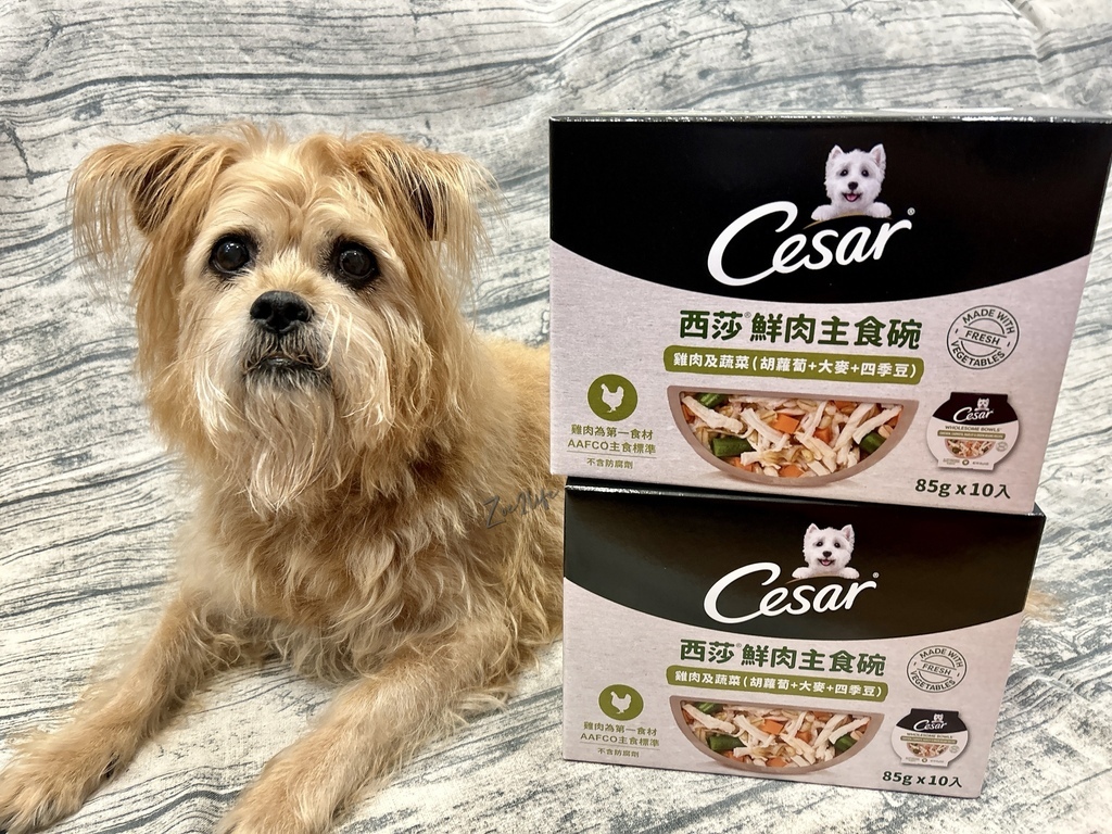 【成犬濕糧推薦】開箱好市多搶先開賣「Cesar西莎鮮肉主 【成犬濕糧推薦】開箱好市多搶先開賣「Cesar西莎鮮肉主