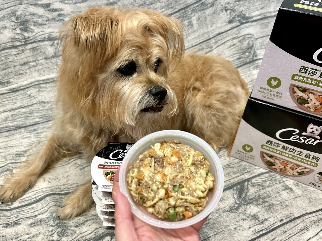 【成犬濕糧推薦】開箱好市多搶先開賣「Cesar西莎鮮肉主 【成犬濕糧推薦】開箱好市多搶先開賣「Cesar西莎鮮肉主