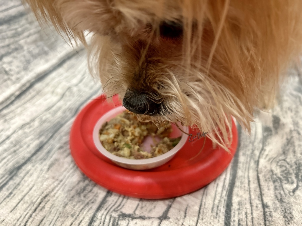 【成犬濕糧推薦】開箱好市多搶先開賣「Cesar西莎鮮肉主 【成犬濕糧推薦】開箱好市多搶先開賣「Cesar西莎鮮肉主