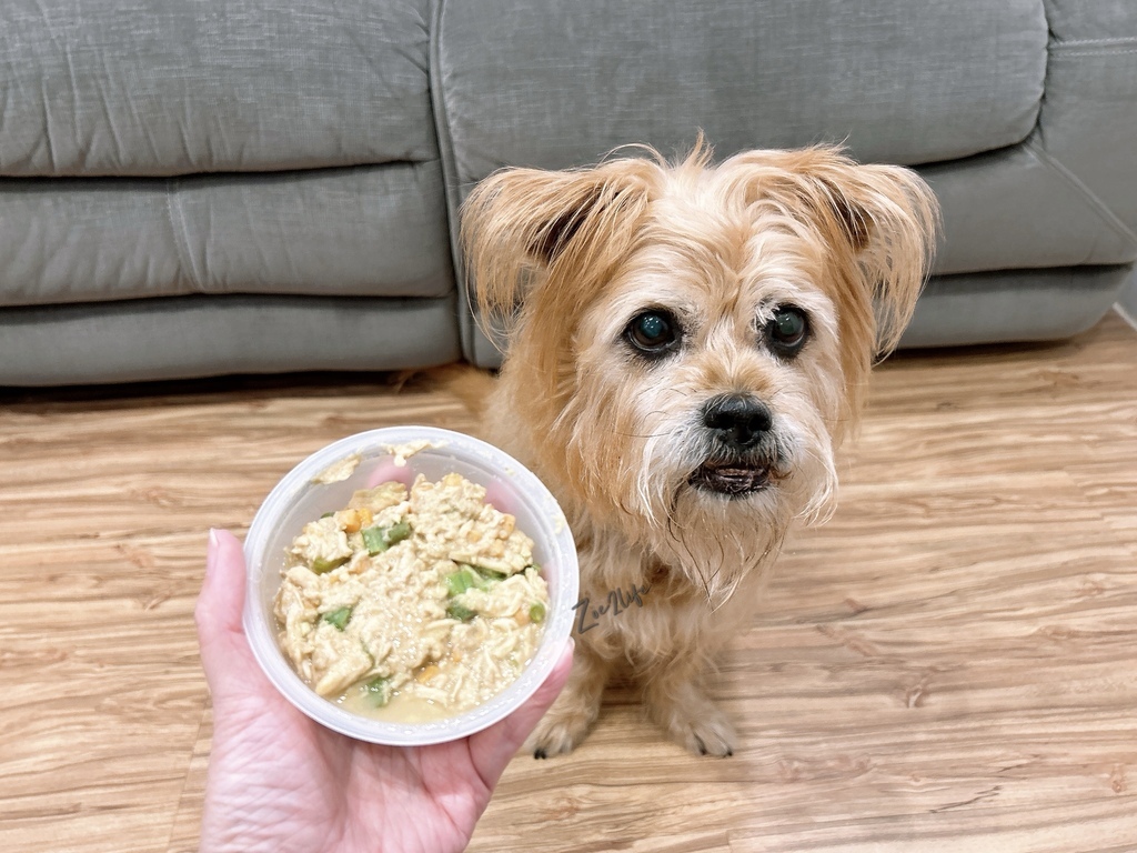 【成犬濕糧推薦】開箱好市多搶先開賣「Cesar西莎鮮肉主 【成犬濕糧推薦】開箱好市多搶先開賣「Cesar西莎鮮肉主