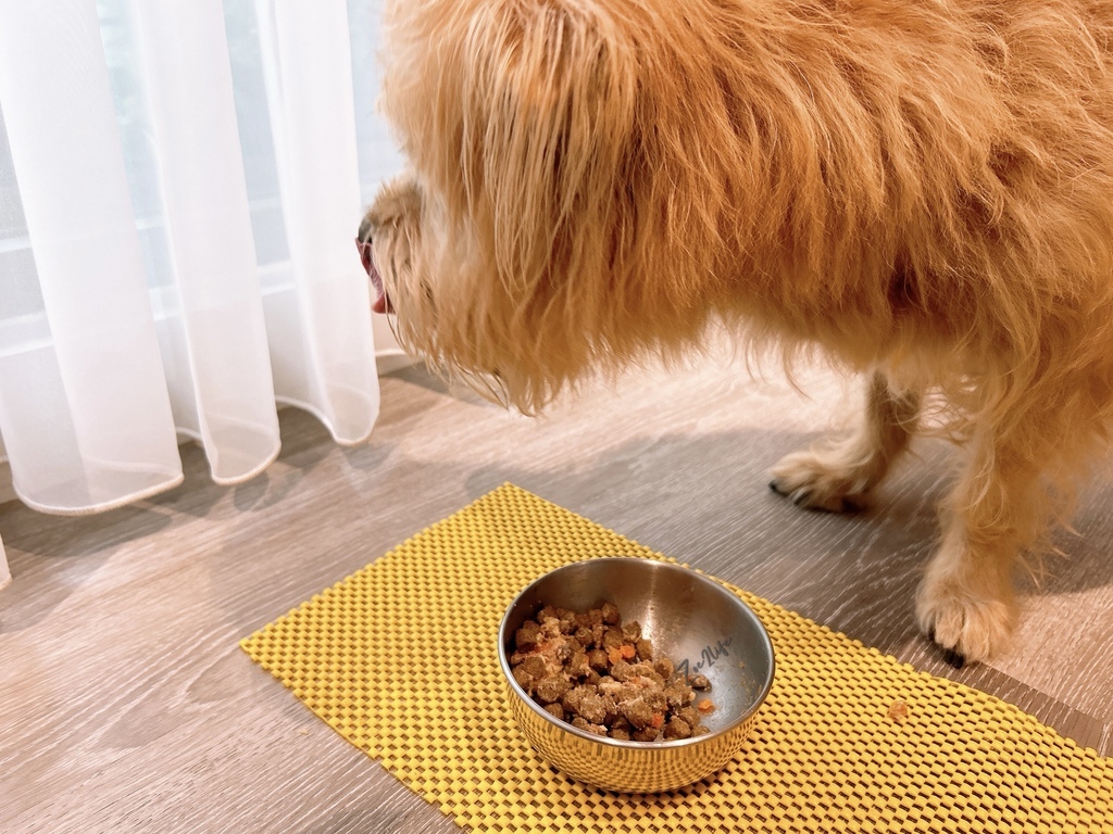 【成犬濕糧推薦】開箱好市多搶先開賣「Cesar西莎鮮肉主 【成犬濕糧推薦】開箱好市多搶先開賣「Cesar西莎鮮肉主