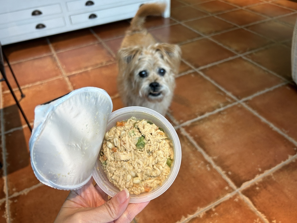 【成犬濕糧推薦】開箱好市多搶先開賣「Cesar西莎鮮肉主 【成犬濕糧推薦】開箱好市多搶先開賣「Cesar西莎鮮肉主