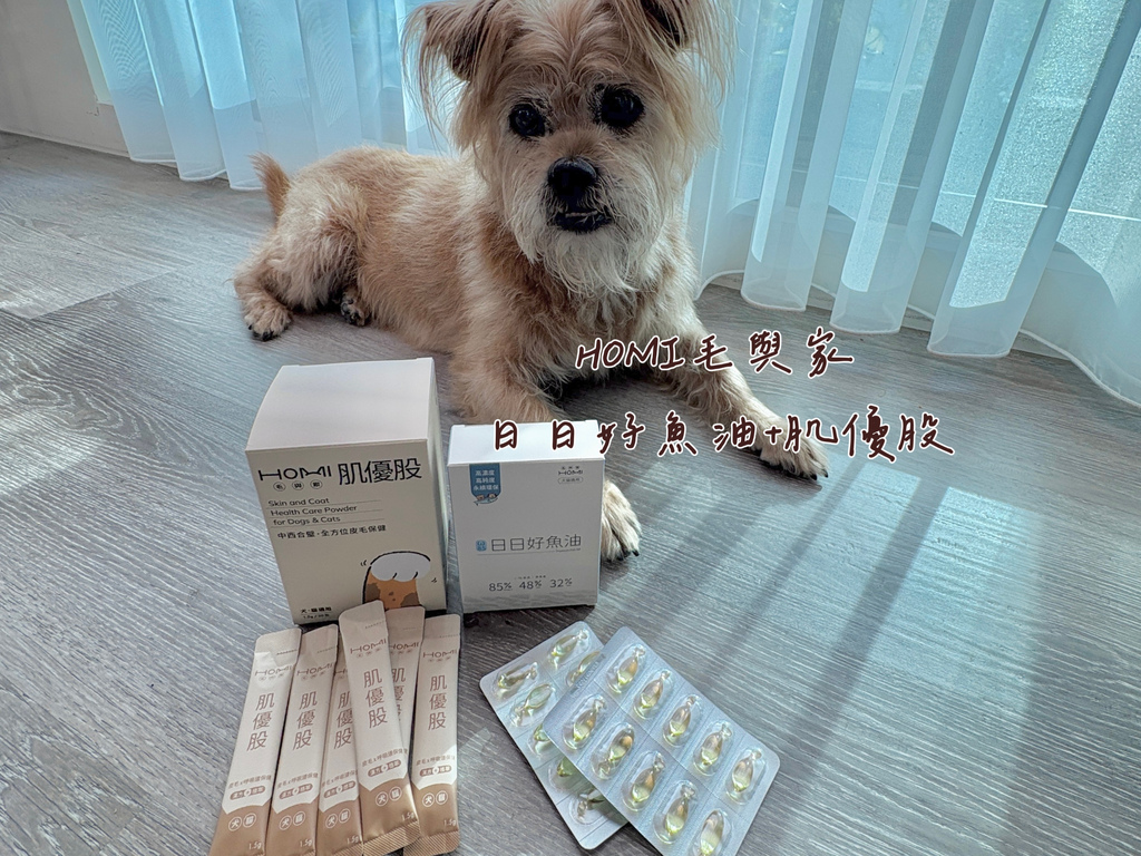 【寵物保健食品推薦】狗狗眼睛保健與關節保養雙重守護｜開箱HO