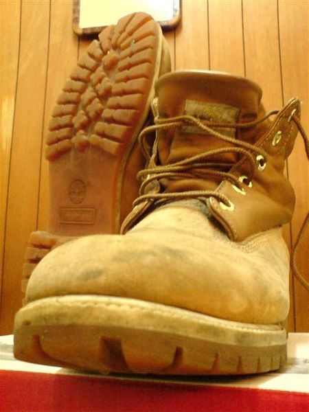 Timberland 20563