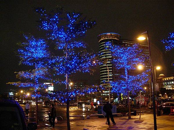{台北}一堆藍樹