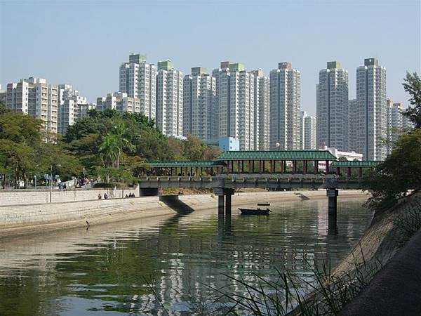 Day-6新市鎮大埔的橋