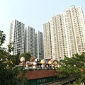 DSCF2126.jpg
