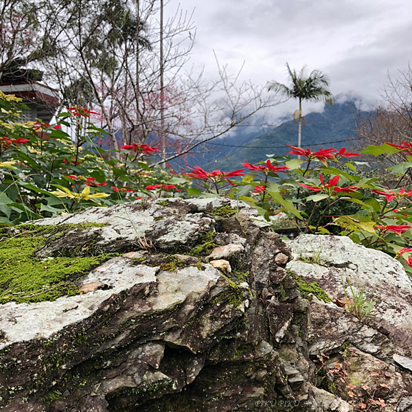 20180204玉山神學院10.png