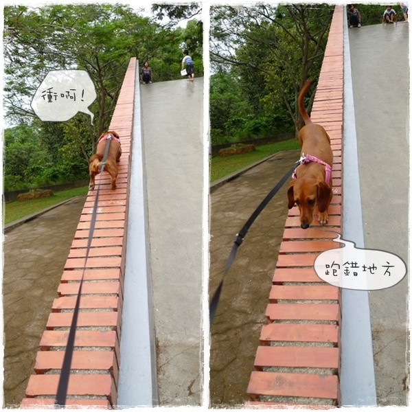 跑跑嘉義.32