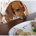 苗栗縣/泰安/清安豆腐街
