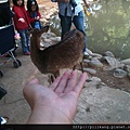 新竹動物園 (223).jpg