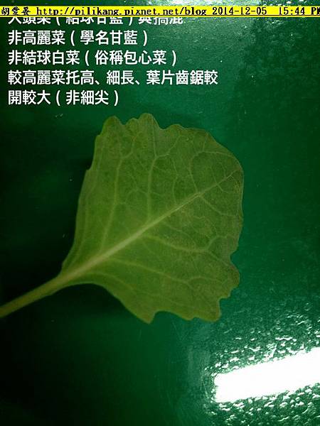 栽記 (13).jpg