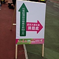 虎科路跑 (12)