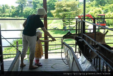 jing-1000614-1137.JPG jing-1000614-1137.JPG
