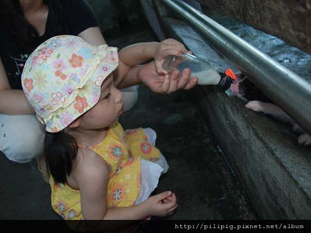 jing-1000614-1149.JPG jing-1000614-1149.JPG
