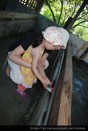 jing-1000614-1150.JPG jing-1000614-1150.JPG