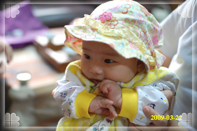 DSC_0279.JPG DSC_0279.JPG