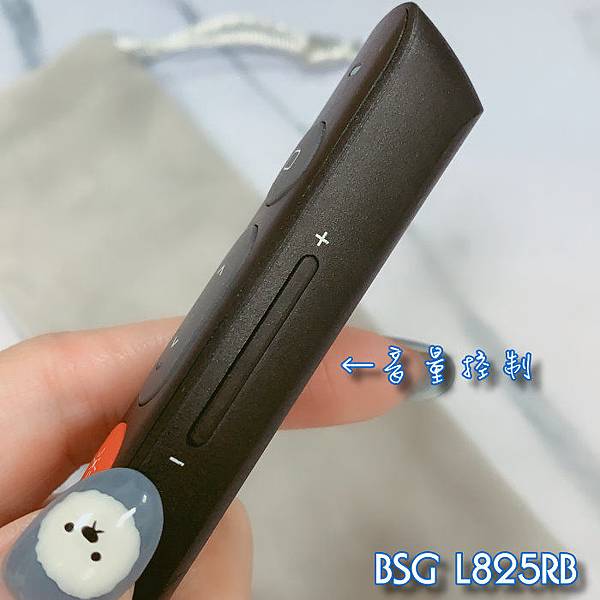 BSG L825RB-04.jpg