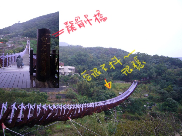 龍谷掉橋2.jpg