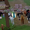 mabinogi_2009_05_17_038.jpg