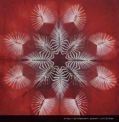 image001.jpg image001.jpg