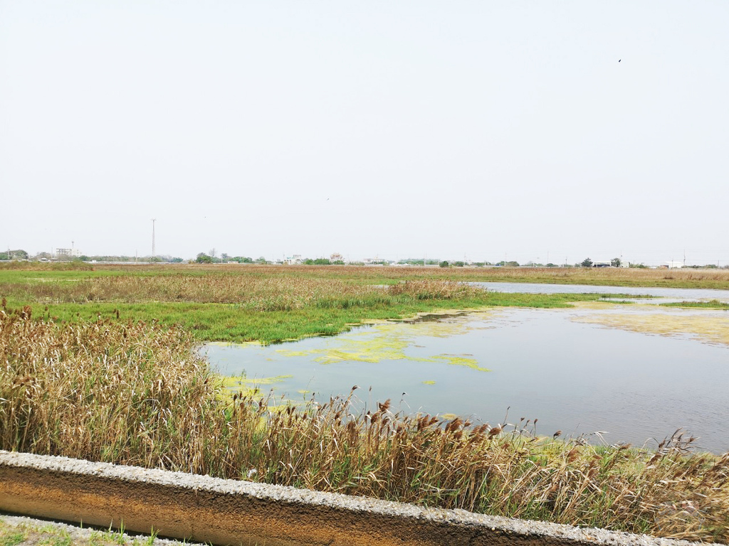 ob946a8bd52b39410f70f6af5d3e4ca44_57219480_210425_1.jpg ob946a8bd52b39410f70f6af5d3e4ca44_57219480_210425_1.jpg