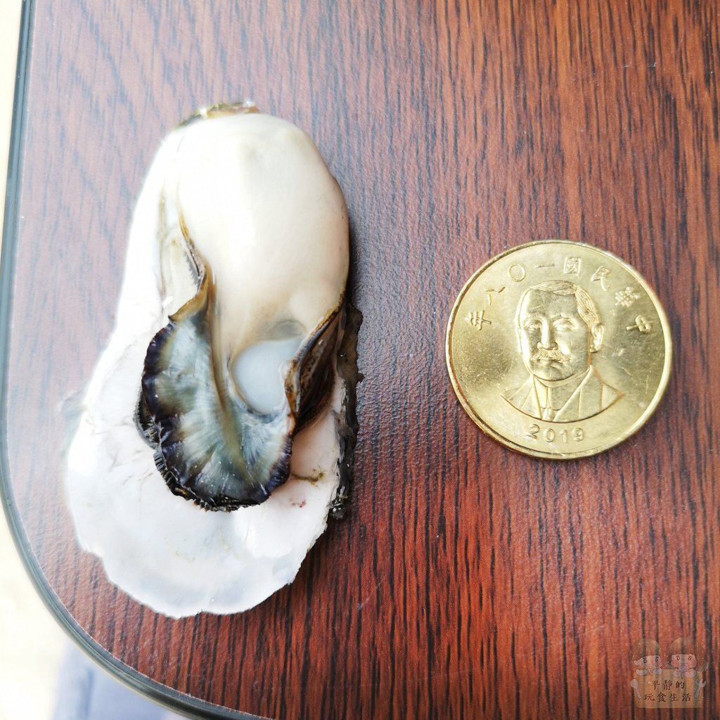 ob946a8bd52b39410f70f6af5d3e4ca44_57219480_210425_5.jpg ob946a8bd52b39410f70f6af5d3e4ca44_57219480_210425_5.jpg