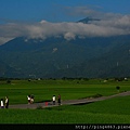 20130908台東二日遊第二天 020 (1024x683).jpg