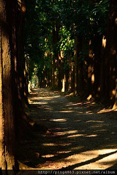 20131005六龜新威森林公園 025 (683x1024).jpg