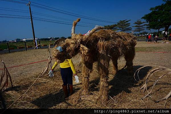 2013113橋頭花田囍事及刀削麵及酸菜白肉 082 (1024x683).jpg