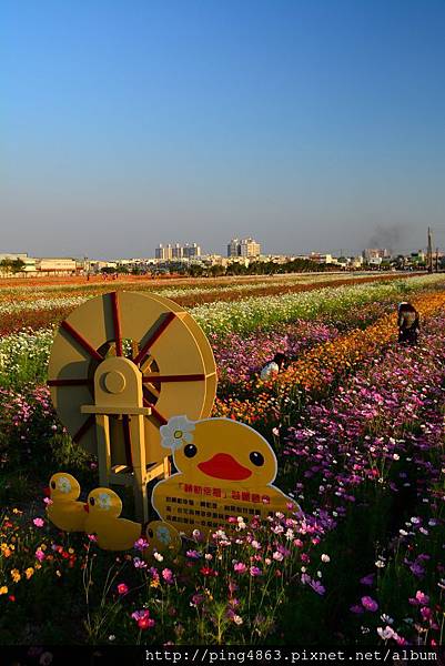 2013113橋頭花田囍事及刀削麵及酸菜白肉 318 (683x1024).jpg