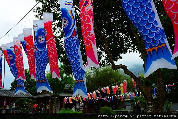 20140608花東遊第二天 237 (1024x683).jpg