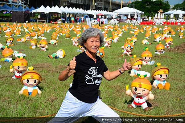 20140713高屏鐵橋高通通 075 (1280x853).jpg