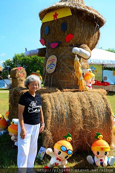 20140713高屏鐵橋高通通 081 (853x1280).jpg