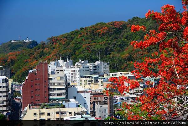 20150517高雄鳳凰花開 203 (1024x683).jpg