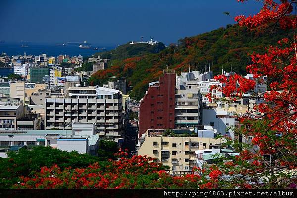 20150517高雄鳳凰花開 206 (1024x683).jpg