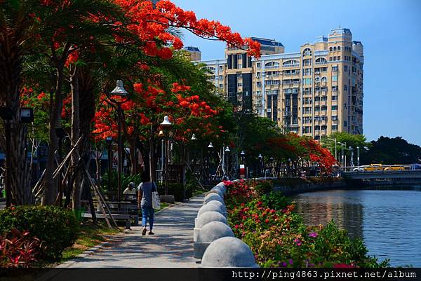 20150517高雄鳳凰花開 246 (1024x683).jpg