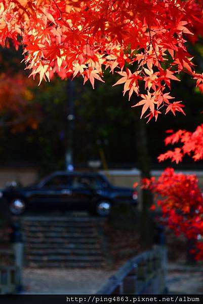 20141124京都賞楓第二天 136 (683x1024).jpg