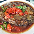 辣椒魚