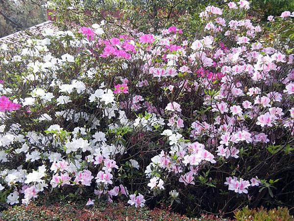 金門 ─ 蔣經國紀念館