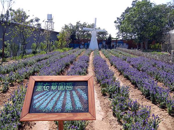 苗栗 ─ 雅聞香草植物工廠