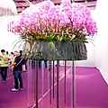 台南 ─ 2013國際蘭花展