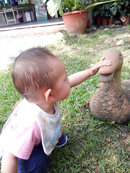 屏東 ─ 高樹戶外教學