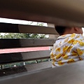 國小溜滑梯