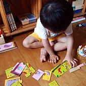 Puzzle duo拼圖