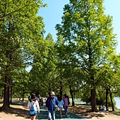 一山水公園