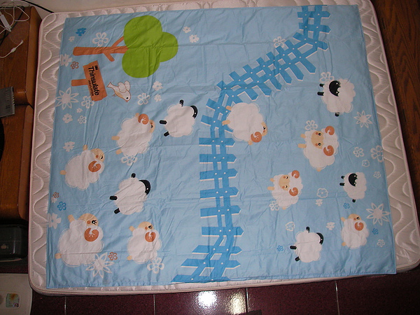 3m ThinsulateTM涼夏小羊舖棉兩用童被套 平舖在雙人床上 