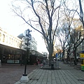 IMAG0904.jpg